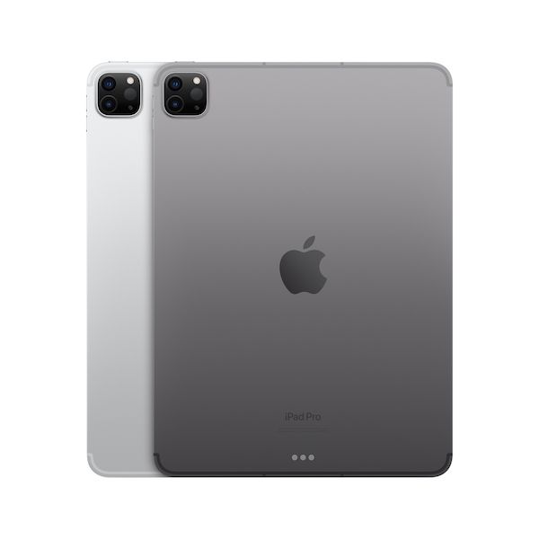 iPad Pro 11in M2 Wifi+Cell 256GB  Space Grey